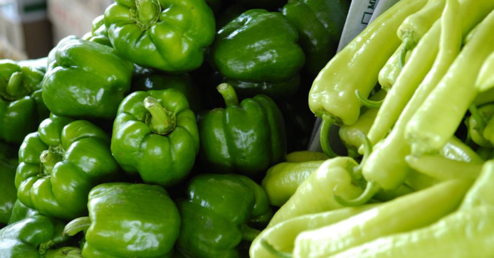 Farmers Market Search - Close-up of fresh green bell peppers and chili peppers, showcasing vibrant and organic produce in a market setting.