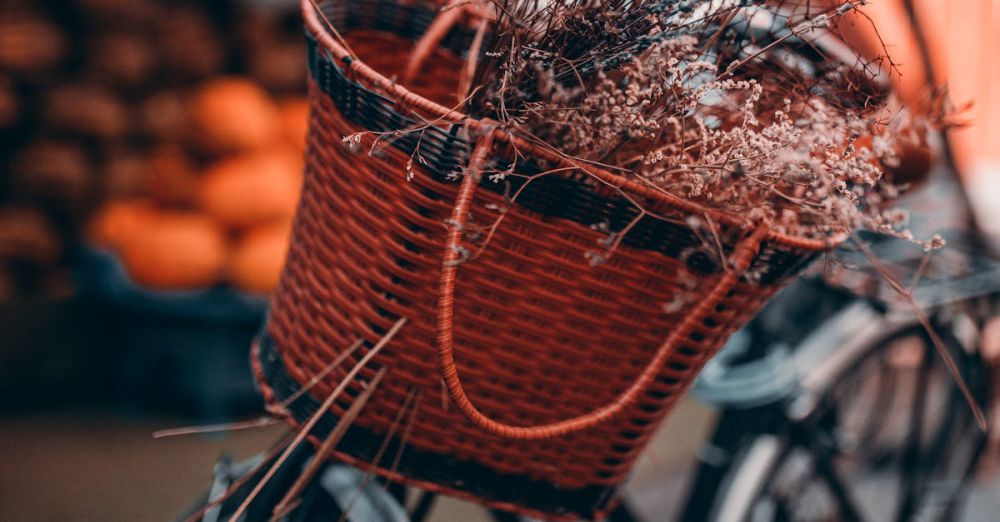 Eco-Friendly Markets - Close-up of a bicycle with a basket filled with dried flowers on a street corner.