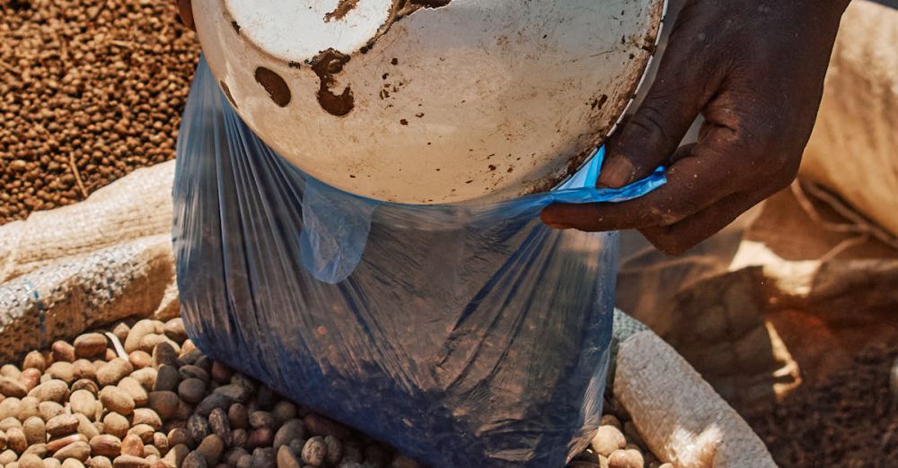 Farmers Market Navigation - Close-up of peanuts being measured and bagged in Zaria's open market.