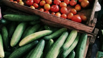 BC Farmers Markets - Vibrant tomatoes and cucumbers on display at a local farmers market.