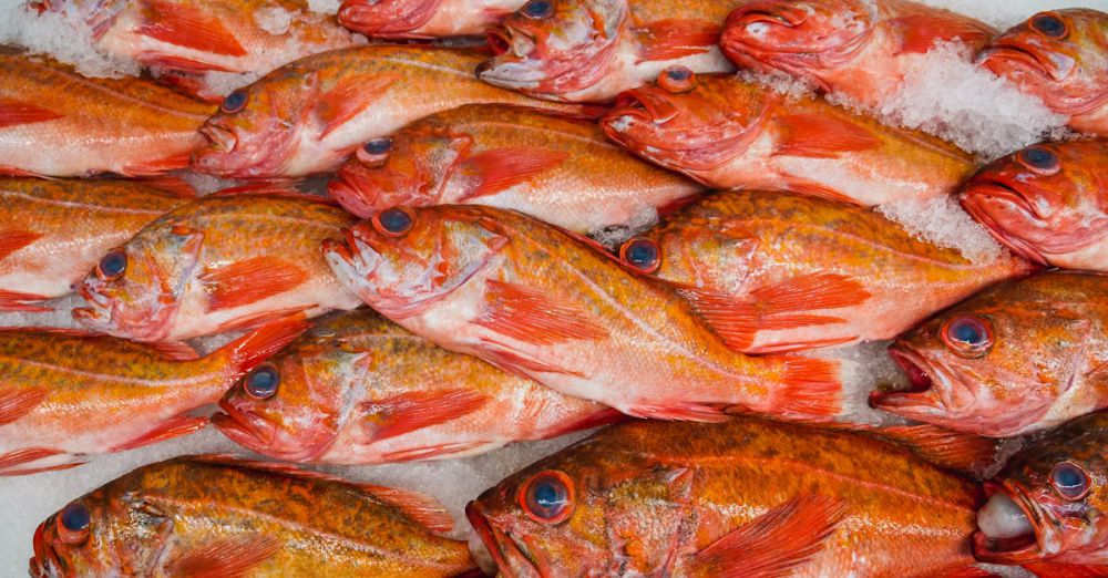 Seafood Markets - Vivid red fish arranged neatly on ice, showcasing freshness at a vibrant market display.