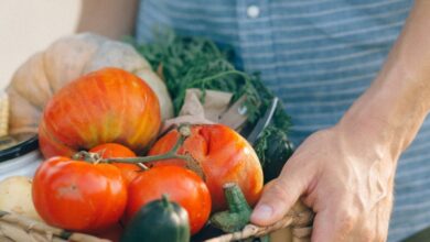 Vegan Farmers Markets - Vibrant collection of freshly harvested organic vegetables held in a wicker basket outdoors.