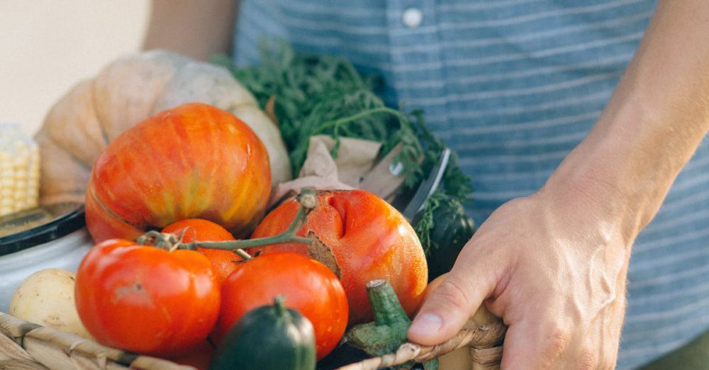 Vegan Farmers Markets - Vibrant collection of freshly harvested organic vegetables held in a wicker basket outdoors.