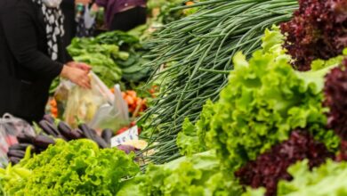 Bargain Farmers Markets - A bustling street market scene with a diverse array of fresh vegetables and shoppers.