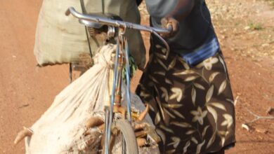 Supporting Local Farmers - African woman transports crops on a bicycle along a rural dirt road, showcasing traditional farming methods.