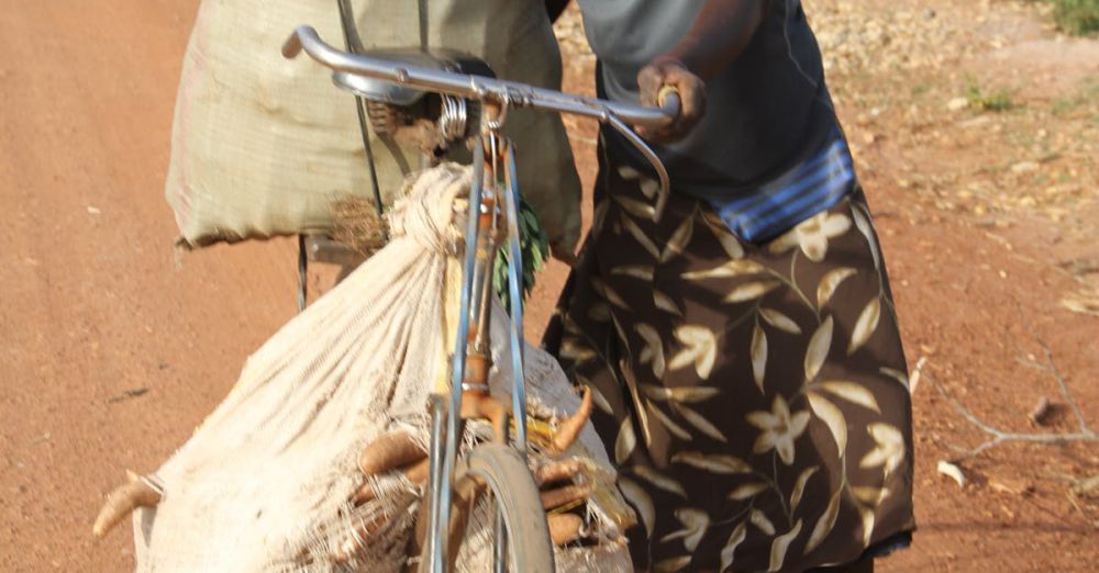 Supporting Local Farmers - African woman transports crops on a bicycle along a rural dirt road, showcasing traditional farming methods.