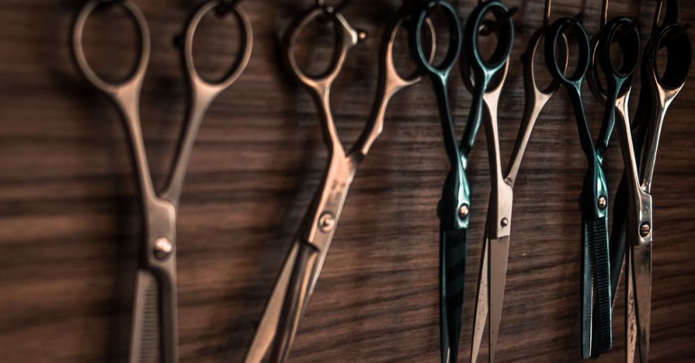 Scissors - A collection of vintage barber scissors hanging on a wooden wall, showcasing sharp tools for hair cutting.