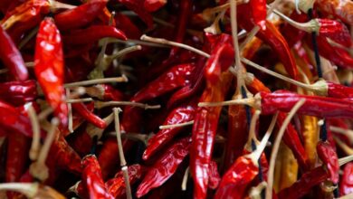 Herb Markets - A close-up view of vibrant red dried chili peppers, showcasing texture and color.