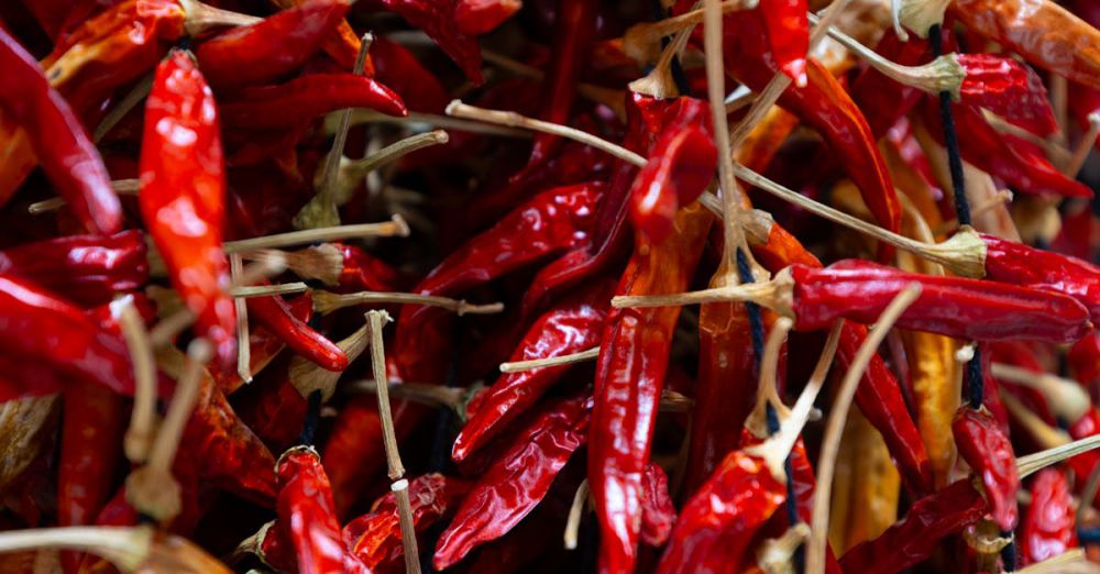 Herb Markets - A close-up view of vibrant red dried chili peppers, showcasing texture and color.