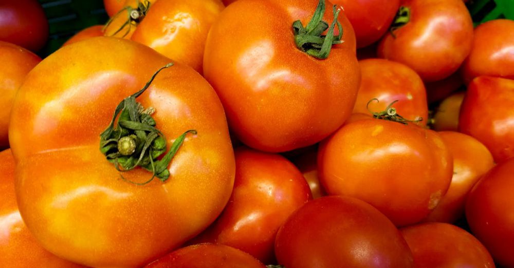 Farmers Market Finder - Vibrant fresh tomatoes with stems, ideal for healthy and nutritious cooking.