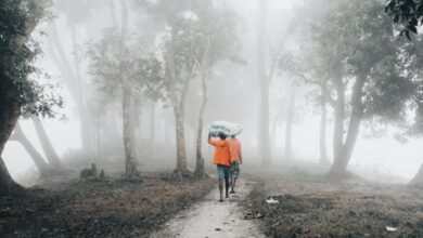 Canoe Carrying - Two men walk through a foggy forest path in Chandpur, Bangladesh, carrying a large bundle.