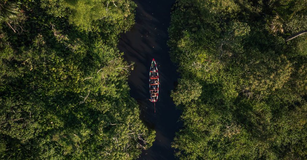Wilderness Canoe Portaging - Bote en el humedal de Santa Elena, en medio de la selva.