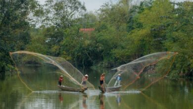 Wildlife Canoe Portaging - Captivating scene of Vietnamese fishermen casting nets on a tranquil river in Hue.