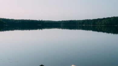 Camping Canoe Portaging - Tranquil scene of boats on a sandy beach by a calm lake in Kawartha Lakes, Ontario.