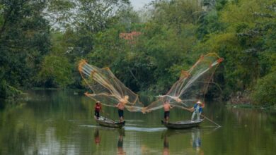 Multiday Canoe Portaging - Fishermen casting nets on Huong River near lush green foliage in Vietnam, capturing traditional lifestyle.