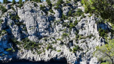 Scenic Views Portaging - Explore the breathtaking calanques with cliffs and azure waters in Provence, France.