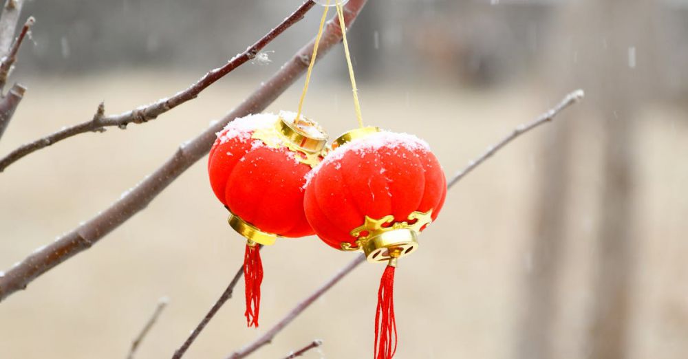 Holiday Winter Festivals - Two red Chinese lanterns hanging on a tree branch during light snowfall outdoors.