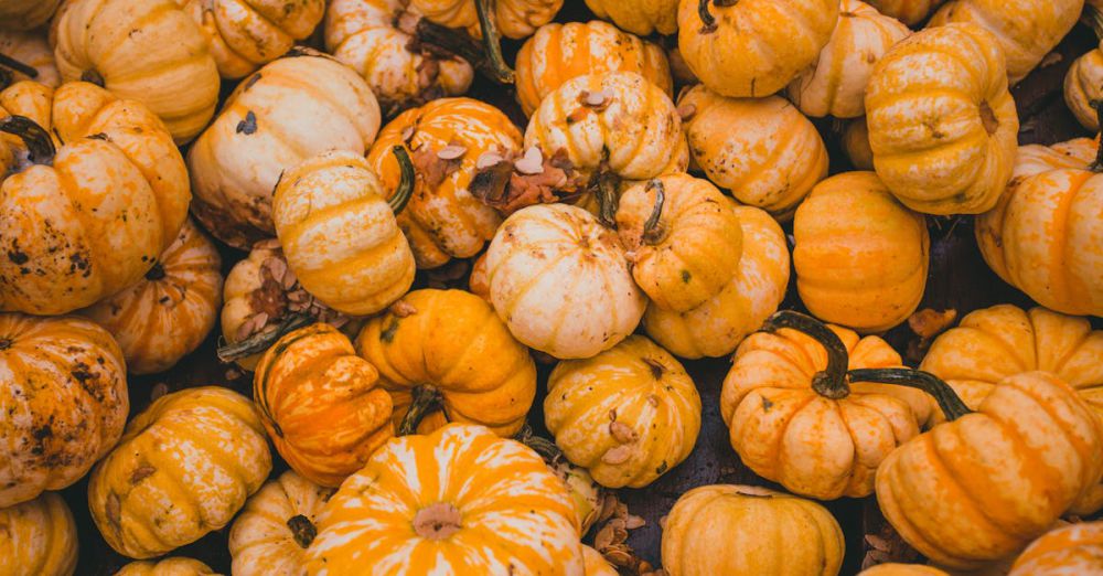 Local Food Festivals - A vibrant collection of orange pumpkins piled together outdoors, capturing the essence of fall harvest.