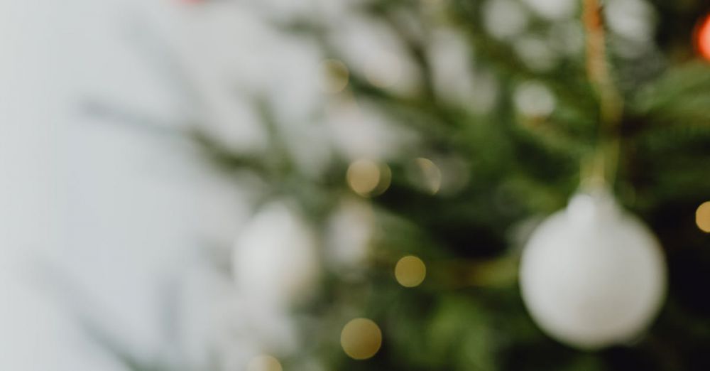 Budget Winter Festivals - A fan of US dollar bills with a festive Christmas tree in the background.