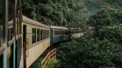 Nature Scenic Train Rides - A train traveling through a dense green forest along a mountainous terrain, showcasing nature's beauty.