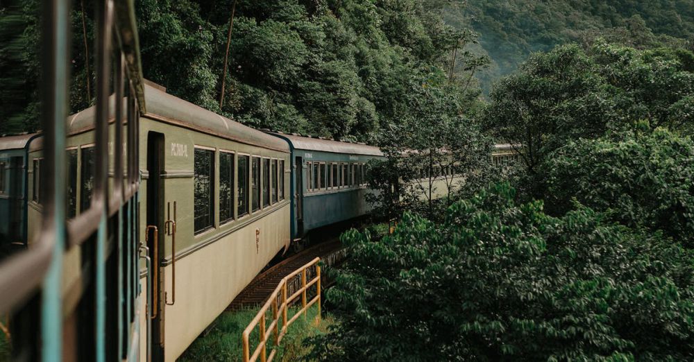 Nature Scenic Train Rides - A train traveling through a dense green forest along a mountainous terrain, showcasing nature's beauty.