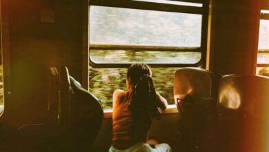 Scenic Train Ride Planning - A woman gazes out of a train window, enjoying a serene journey through lush scenery.