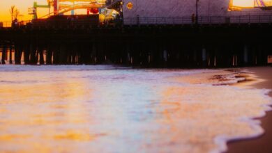 Popular Scenic Train Rides - Ferris wheel at Santa Monica Pier reflecting on the water during a stunning sunset.