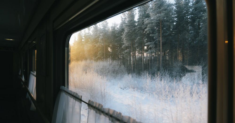 Winter Scenic Train Rides - A serene view of snowy trees from a train window during a winter journey.