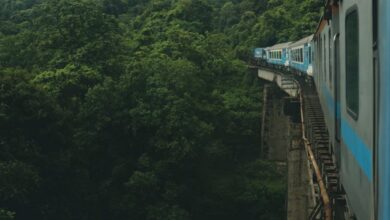 Wildlife Scenic Train Rides - Colorful train crossing a bridge in a lush forest landscape, highlighting travel adventure.