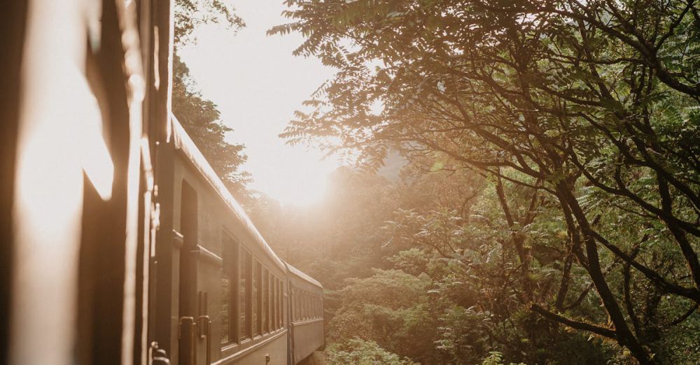 Nature Photography Scenic Train Rides - Train moving through vibrant green forest at golden hour, capturing a serene travel experience.