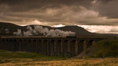 Historical Insights Scenic Train Rides - A steam train crosses a picturesque viaduct against a dramatic sky.