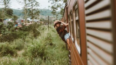 Cross-Country Scenic Train Rides - A young woman in casual attire enjoys a scenic train ride through lush countryside.