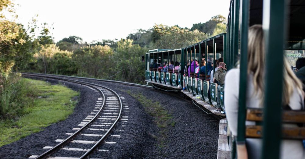 Urban Exploration Scenic Train Rides - A scenic train ride through lush greenery with passengers enjoying the view.