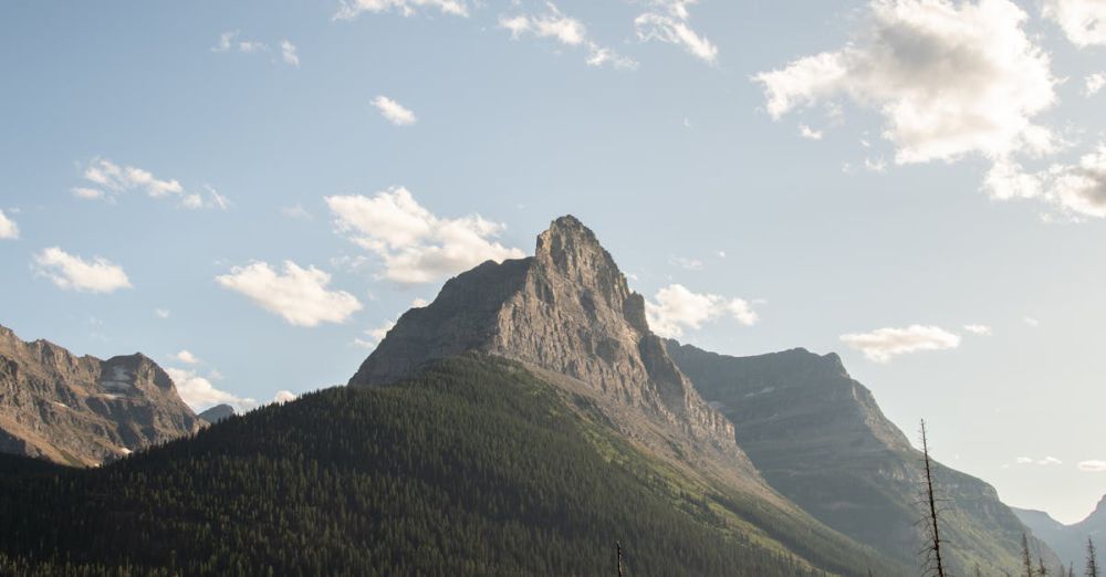 Rockies Climbing Routes - Breathtaking view of a mountain peak surrounded by a forest under a bright sky in Montana.