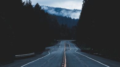 Long Route Climbing - A tranquil empty road leading through Oregon's misty forests under a cloudy sky.