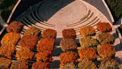 Sustainable Urban Gardens - Aerial view of contemporary amphitheater with colorful autumn trees, showcasing modern architecture.