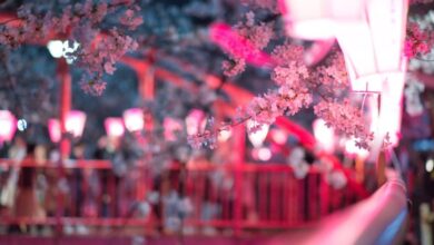 Seasonal Urban Gardens - Beautiful night view of cherry blossoms in Tokyo with pink lanterns, capturing the essence of spring.