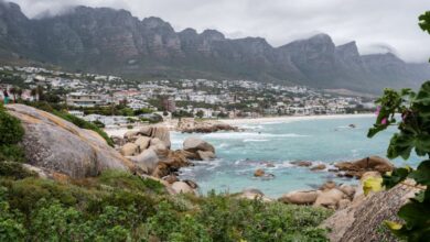 Wildlife Urban Gardens - Experience the breathtaking coastal view of Cape Town with majestic mountains and vibrant seaside life.