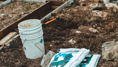 Sustainable Practices Gardens - White bucket and gardening supplies on soil, perfect for outdoor gardening themes.