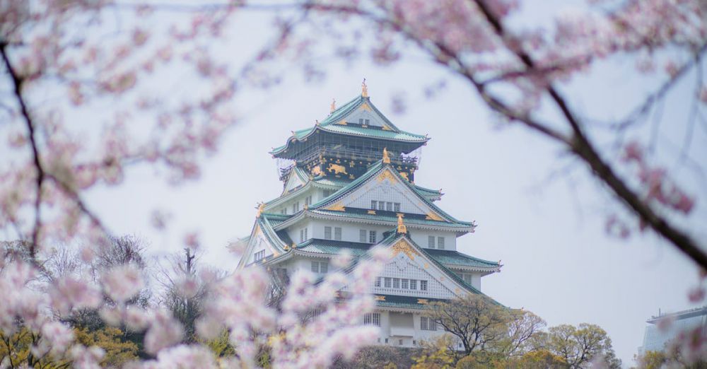 Seasonal Flower Urban Gardens - Beautiful view of Osaka Castle framed by cherry blossoms in spring.