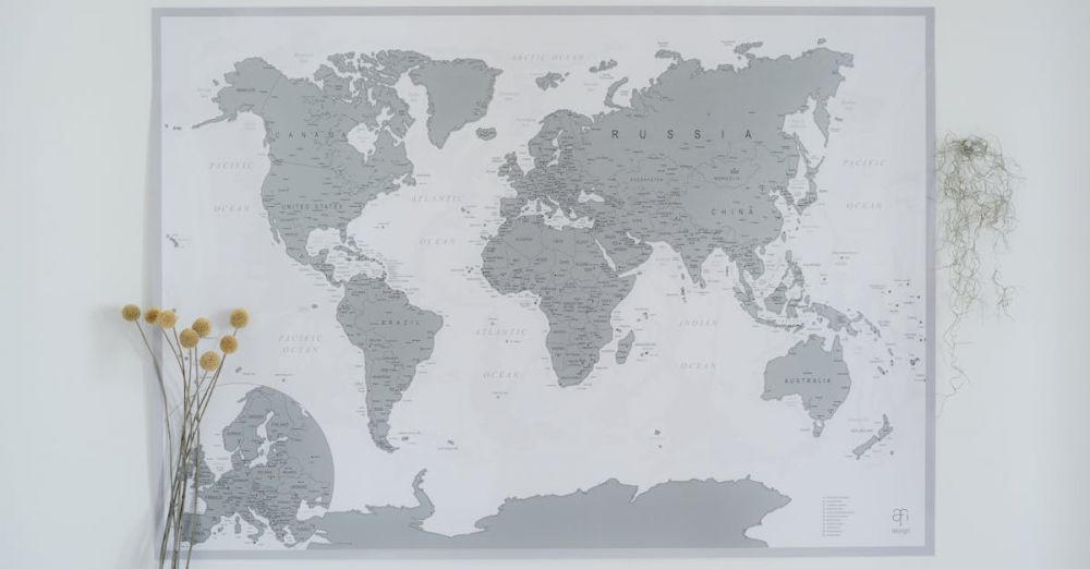 Locations - A minimalist wall decor featuring a gray world map with dried craspedia flowers.