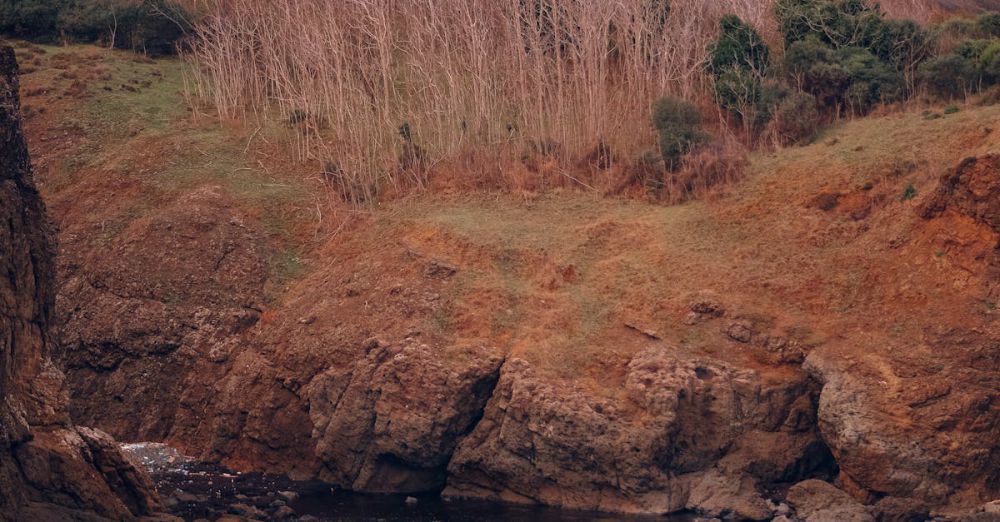 Areas - Peaceful view of rocky cliffs and calm sea, framed by bare winter trees.