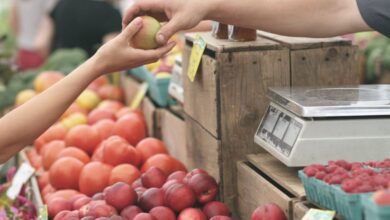 Markets - A customer exchanges an apple with a vendor at a vibrant farmers market.