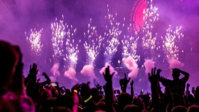 Festival - Vibrant EDM concert scene with fireworks, smoke, and enthusiastic crowd enjoying the music.