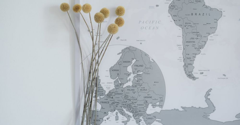 Locations - Minimalistic display of dried craspedia flowers next to a gray world map, adding a modern touch to interior decor.