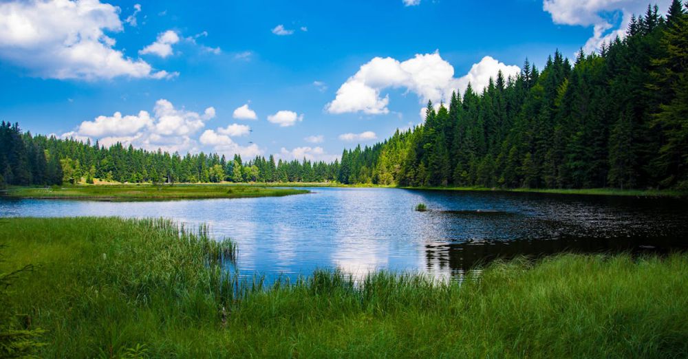 Lakes - Beautiful landscape of a tranquil lake surrounded by dense green forest under a clear blue sky.