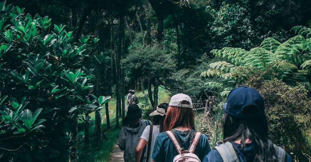 Trip - Women hiking along a scenic forest trail, enjoying nature and exploration.