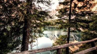 Lakes - Captivating view of a tranquil mountain lake framed by trees and a rustic fence.