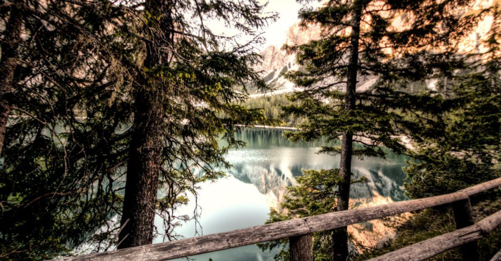 Lakes - Captivating view of a tranquil mountain lake framed by trees and a rustic fence.