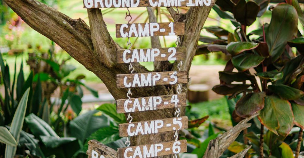 Campsites - Wooden signpost listing campsites in a forest camping area.